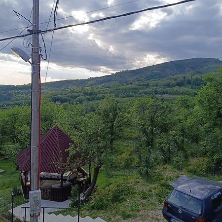 Casuta Din Livada Villa Majszin Kültér fotó