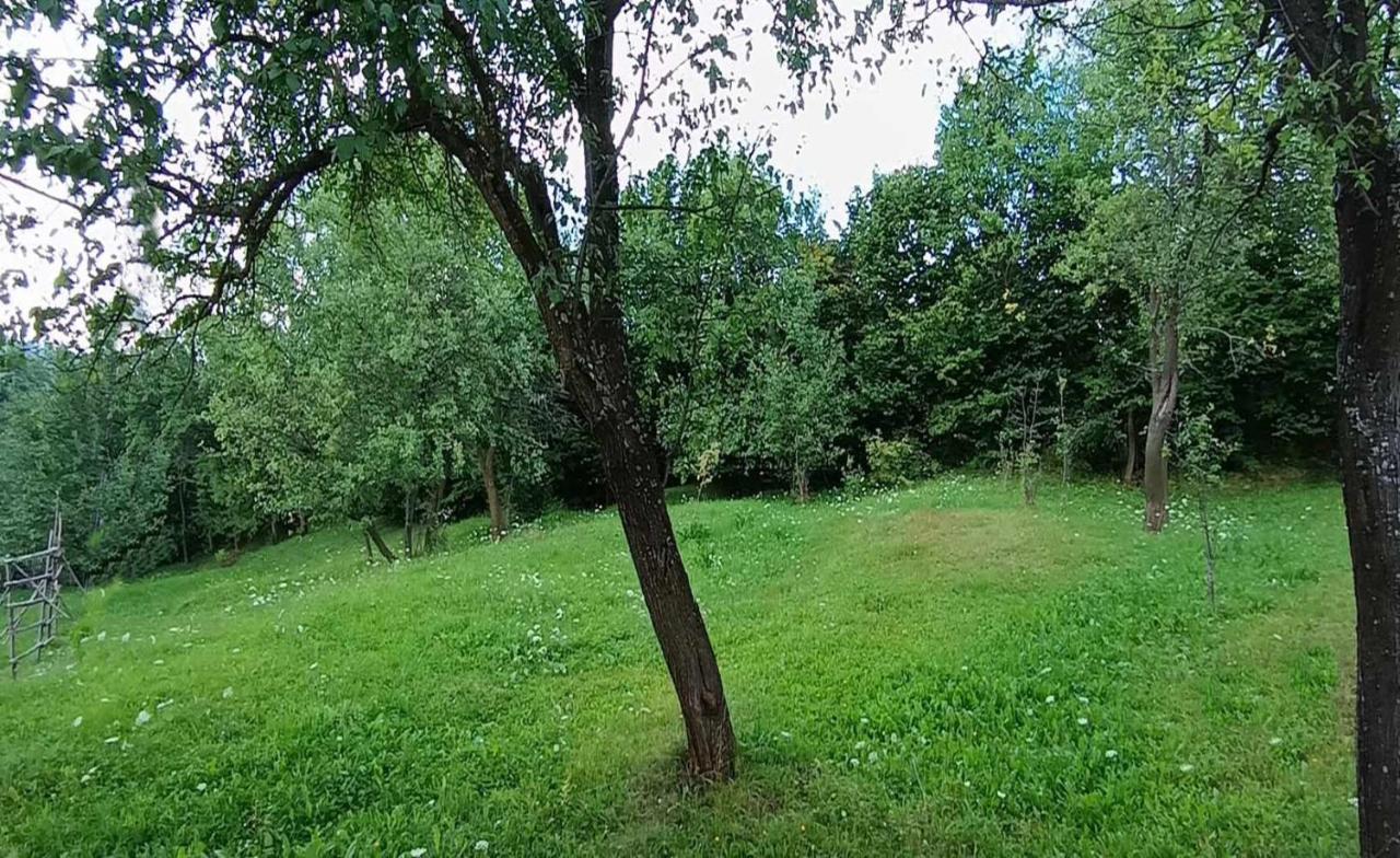 Casuta Din Livada Villa Majszin Kültér fotó