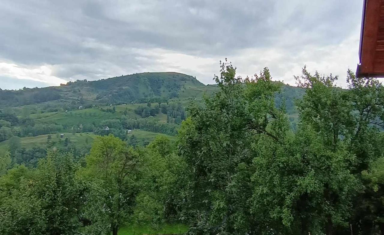 Casuta Din Livada Villa Majszin Kültér fotó