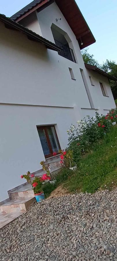 Casuta Din Livada Villa Majszin Kültér fotó