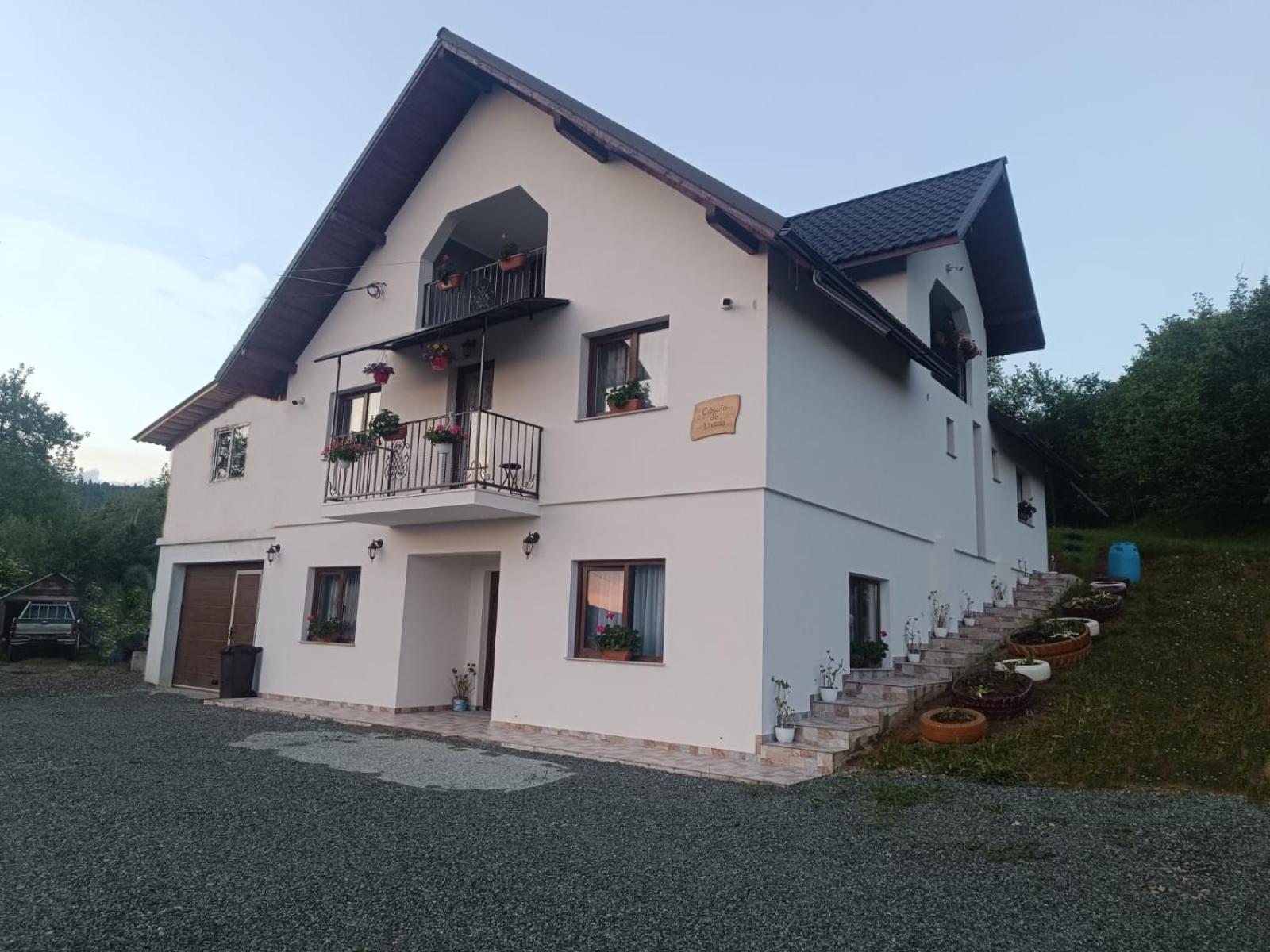 Casuta Din Livada Villa Majszin Kültér fotó